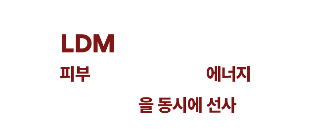 피코플러스 LDM 소개